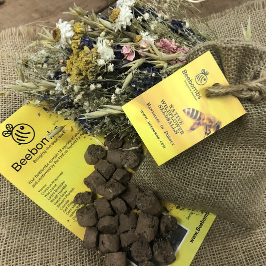 Native Beebomb Wildflower Seeds (1 Pack)