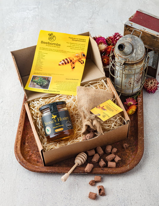 Stone's Honey Gift Set – 340g Jar and Beebombs