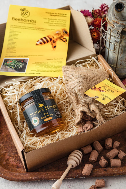 Stone's Honey Gift Set – 227g Jar and Beebombs